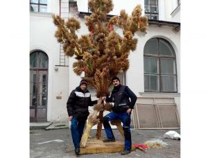 Львів: Дідух виготовили у музеї