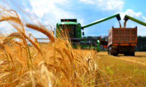Агропродукція: імпорт зростає