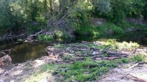 Чернігівщина: Скоротилося русло 