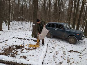 Полтавщина: У люті морози підгодовують диких тварин