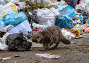 Дніпро: «Комунальний вузол» змушені розв’язувати самостійно