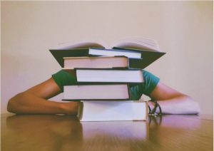 Майже 3 800 дітей з окупованих територій навчаються дистанційно