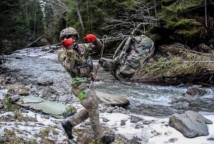Бойових плавців  бачили в горах