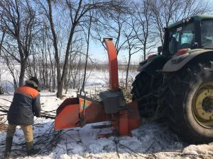 Прикарпаття: Зрізані хащі — на опалення