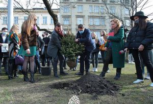 Львів: Саджанці передадуть усім ОДА
