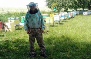 Робить вулики з прозорою стінкою, щоб побачити, як працюють бджоли