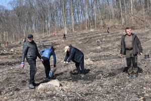 Сумщина: Весна прийшла, почали саджати