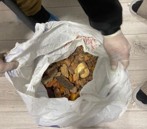 Правоохоронці Рівненщини блокували канал збуту фальшивих євро