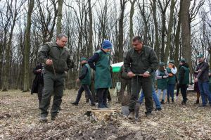 Буковина: Садити дерева вийшли і керівники, і школярі