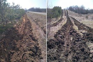 На Вінниччині ліси оперізують захисними борознами