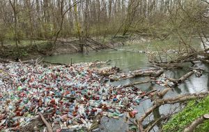 Закарпаття: Сміттєві загати — загроза довкіллю