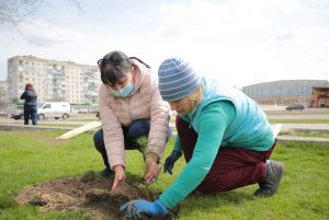 Відновлюють еколегені Луганщини