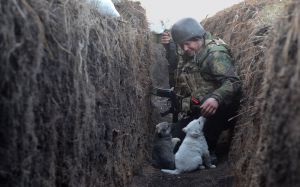 Під аеропортом