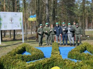 Рівненщина: У Малуському лісництві висадили самшитовий герб