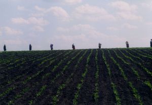 На Херсонщині відкрилася школа для  майбутніх фермерів