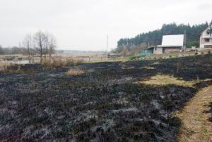 На Житомирщині палійка сухостою мало не знищила ГРС