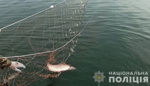 Херсонщина: Поклали край браконьєрській вакханалії