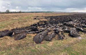 Селяни протестують проти розорювання заливних лук