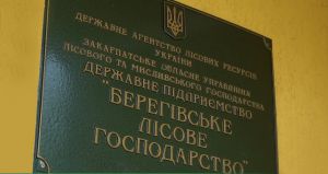 Закарпаття: Хочеш мати хороший ліс —  доглядай за культурами!