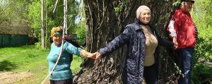 Захищають сад, а з ним — і свої оселі