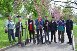 У Житомирі дерева самі повідають про себе