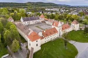На Львівщині відреставрують три замки і театр