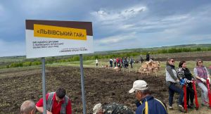 Галицькі саджанці зеленітимуть біля териконів