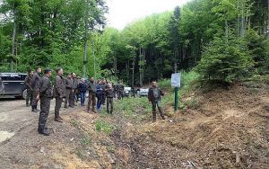 На Львівщині ліси стануть багатоярусними і різновіковими