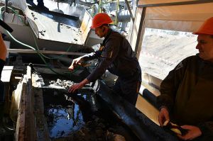 Рівненщина: «Сонячне ремесло» працює легально