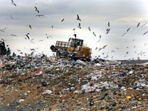 На вулиці Херсона випустять «пожирачів сміття»