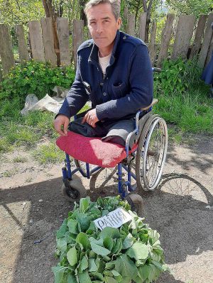 Чи розсаду продавати, чи на пилорамі працювати 
