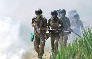 Миколаївщина: Психологічну стійкість підтверджено
