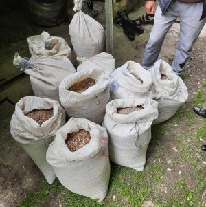 На Рівненщині вилучили майже півтонни бурштину