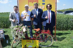 Південна нива потребує зрошення та якісного насіння
