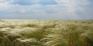 У нацпарку на Херсонщині відкриття за відкриттям