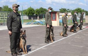 Миколаївщина: Змагалися гвардійці-кінологи