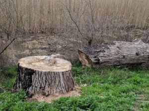«Відказники» державного значення