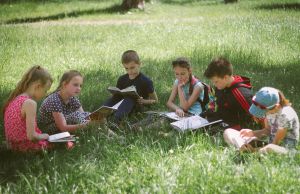 У Житомирі запровадили книжкові пікніки