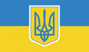 Про внесення змін до Закону України  «Про запобігання корупції»  щодо упорядкування окремих питань  захисту викривачів