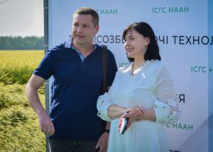 Кіровоградщина: Врожайність поля — у зоні особливої уваги
