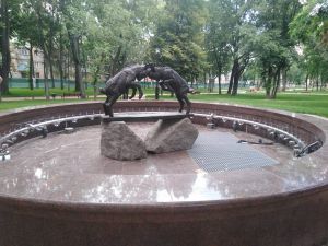 Чернігів: Знов зустрілись непоступливі цапки