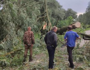 Волинь: Буревій розгулявся княжим містом