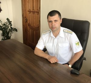 Вітер вирвав багаторічні дерева на Рівненщині