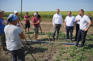 Рівненщина: Органічне рослинництво на користь раціональному харчуванню
