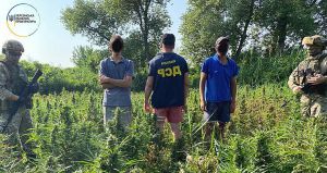 У національному парку на Херсонщині облаштували наркоплантацію