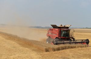 Старт виявився гарячим, але обнадійливим