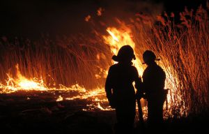 Застерігають від пожеж на ланах
