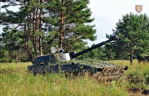 Житомирські десантники  продовжують вишкіл  артилерійських розрахунків