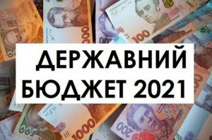 Про внесення змін до Закону України  «Про Державний бюджет України на 2021 рік»
