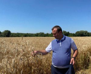 Комбайни пришвидшили хід